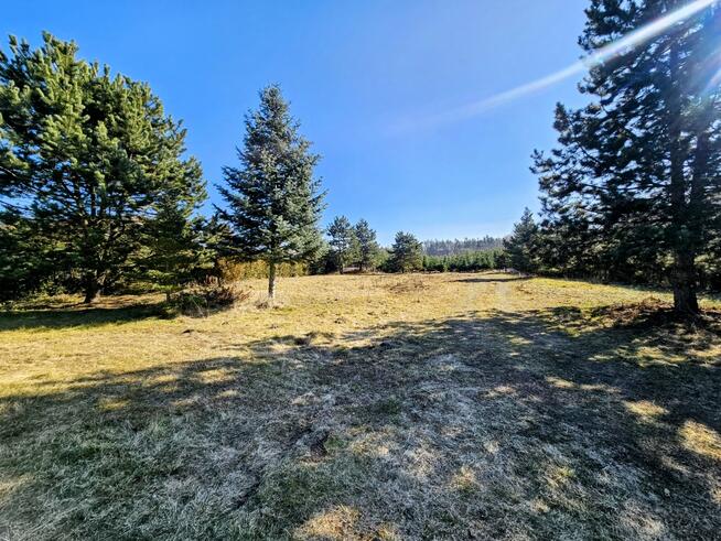 Działka budowlana 8600 m2 w klimatycznej miejscowości / Osuchów / Mszczonów