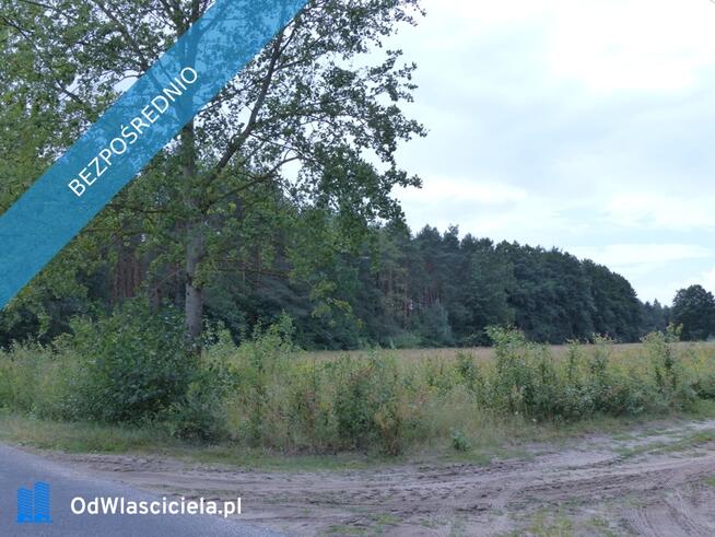 Działki rolno-budowlane k. Płocka, Lipna
