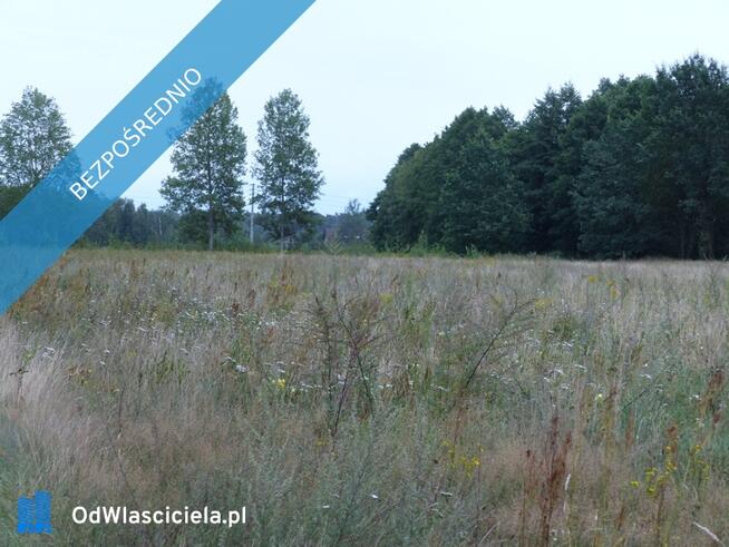 Działki rolno-budowlane k. Płocka, Lipna