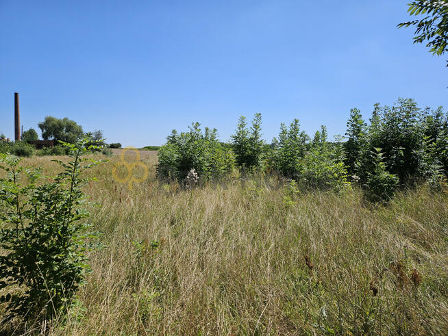 Działka inwestycyjna Śmigiel,
