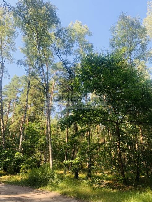 Działka pod rekreację | 2552 m2 | Wilga Ośrodek