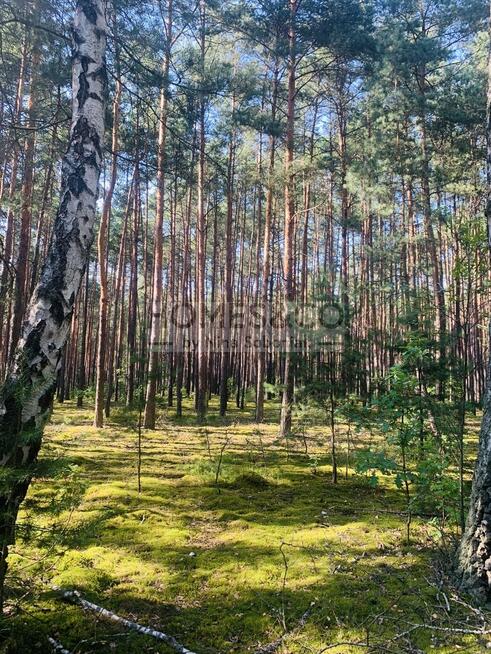 Działka pod rekreację | 2552 m2 | Wilga Ośrodek