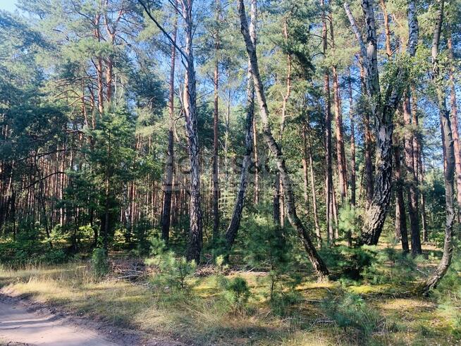 Działka pod rekreację | 2552 m2 | Wilga Ośrodek