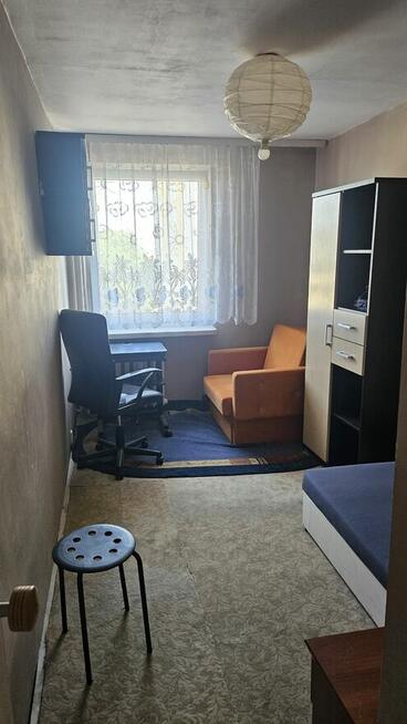 Mieszkanie studenckie centrum Krakowa