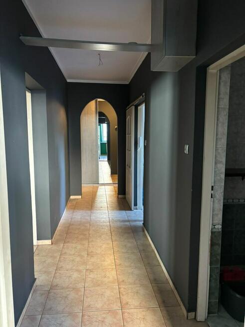 Mieszkanie w centrum Opola - 117 m² - parter + piwnica 9 m²