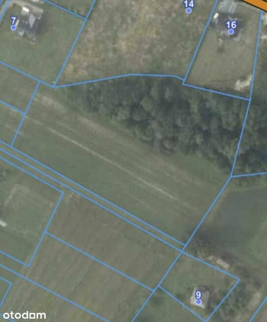 Działka rolna 12 920 m² w spokojnej okolicy lasu