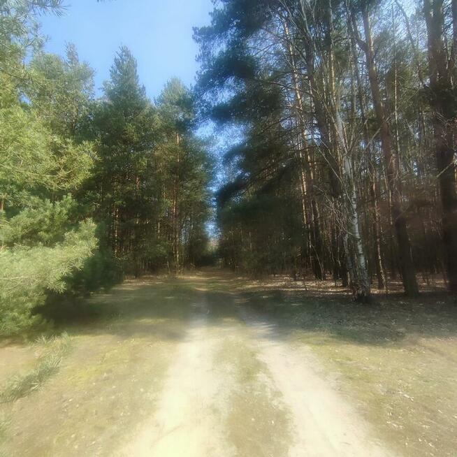 Sprzedam działkę, gm. Grabów nad Pilicą, Augustów