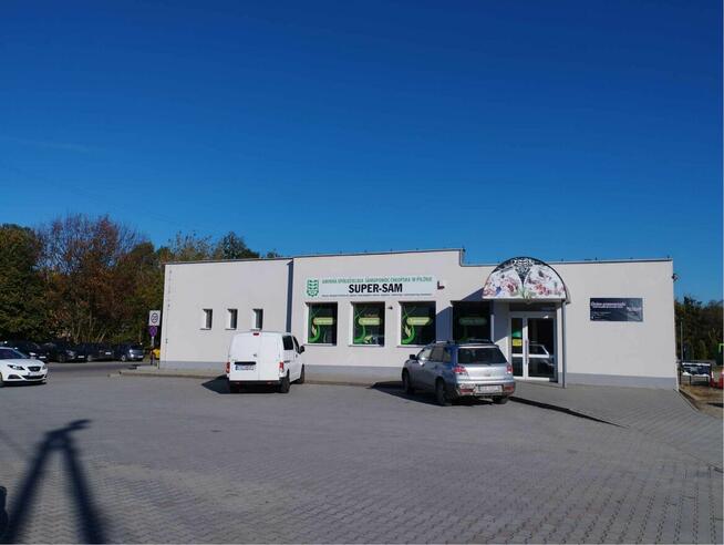 Lokale na wynajem centrum Pilzna