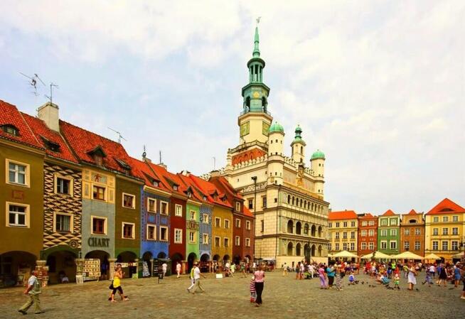 Dom na Starym Grunwaldzie na firmę, usługi do wynajęcia