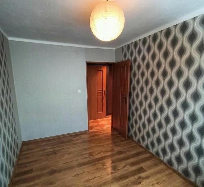 Mieszkanie 54 m2 na parterze w spokojnej okolicy.