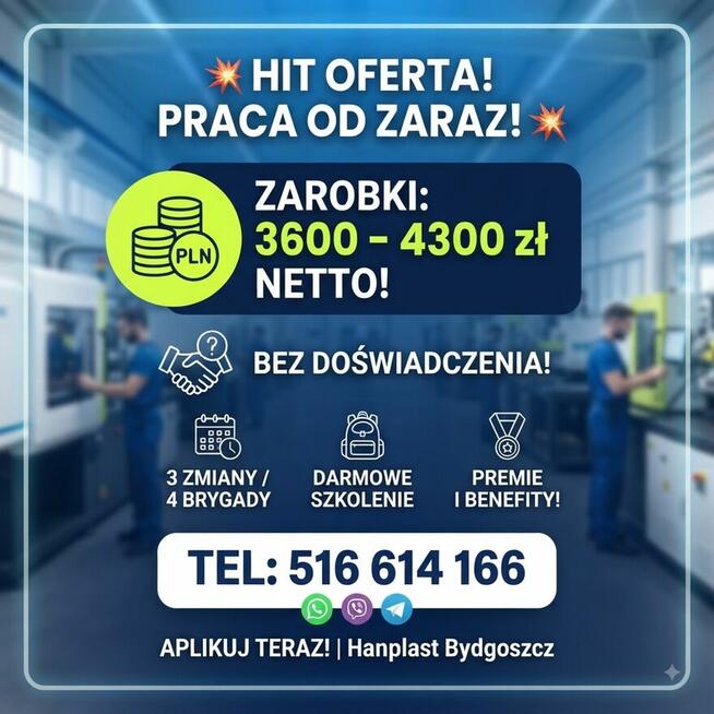 Lekka praca jako operator bez doswiadczenia!