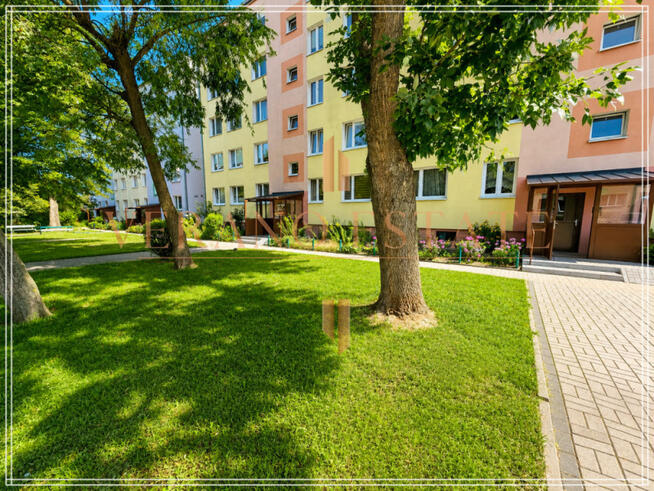 Wysoki parter | 60m2 | 3 pokoje | Centrum