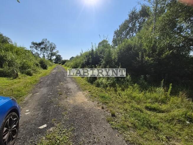 Kamienica Polska, działka budowlana 1341m2, 21x64