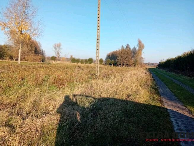 Dom wolnostojący z dużą działką