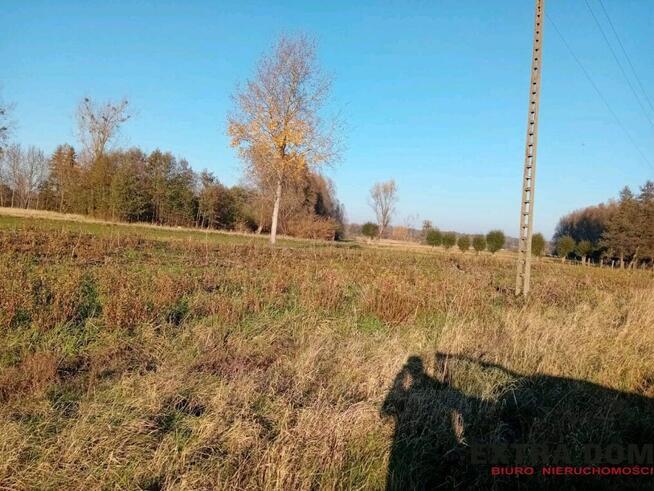 Dom wolnostojący z dużą działką