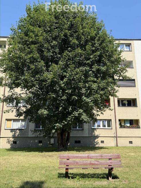 2 pokoje, loggia, widok na zieleń Katowice