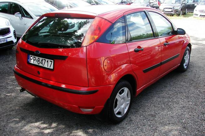 Ford Focus Bezwypadkowy , Polski salon , Super stan