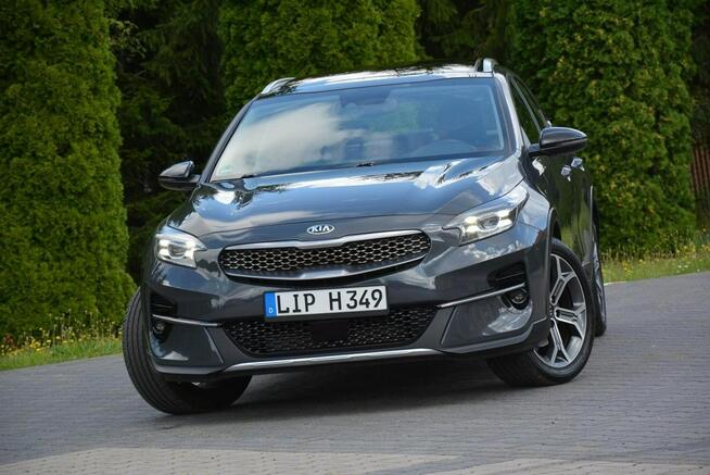 Kia XCeed Launch X Full Led Panorama RadarACC JBL Navi Kamera Skóry Alu18 ASO