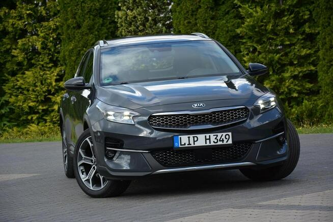 Kia XCeed Launch X Full Led Panorama RadarACC JBL Navi Kamera Skóry Alu18 ASO
