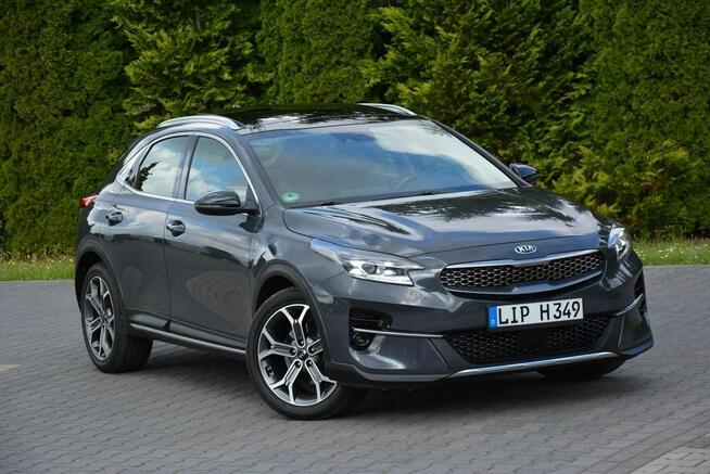 Kia XCeed Launch X Full Led Panorama RadarACC JBL Navi Kamera Skóry Alu18 ASO