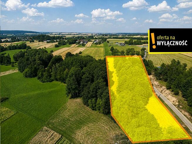Działka inwestycyjna Jeleniów gm. Nowa Słupia,