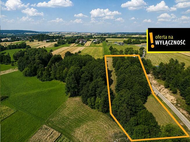 Działka inwestycyjna Jeleniów gm. Nowa Słupia,