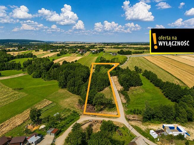 Działka inwestycyjna Jeleniów gm. Nowa Słupia,