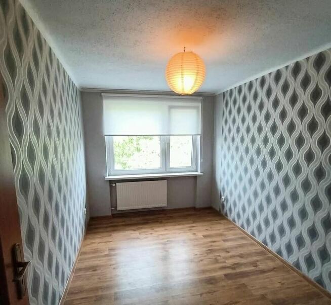 Mieszkanie 54 m2 na parterze w spokojnej okolicy.