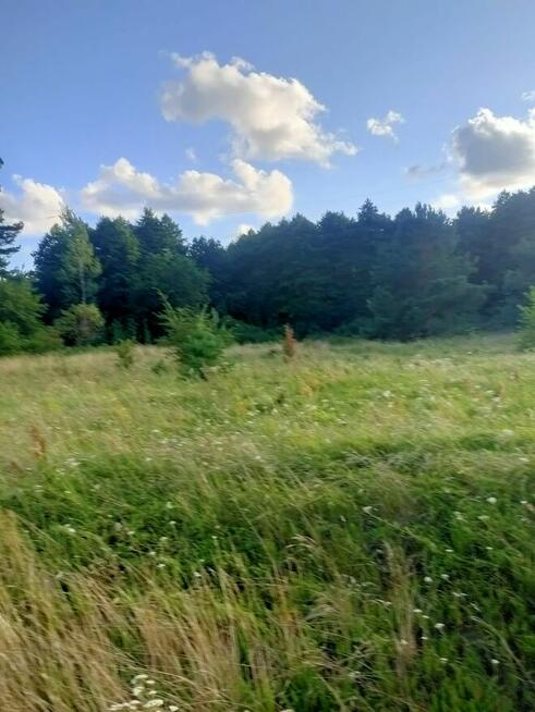 Sprzedam działkę.