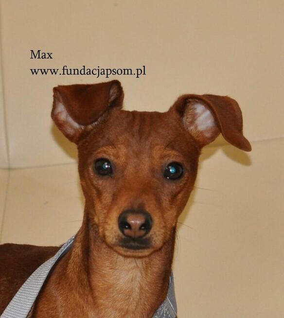 Max