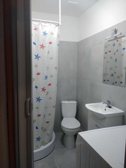 Kawalerka do wynajęcia