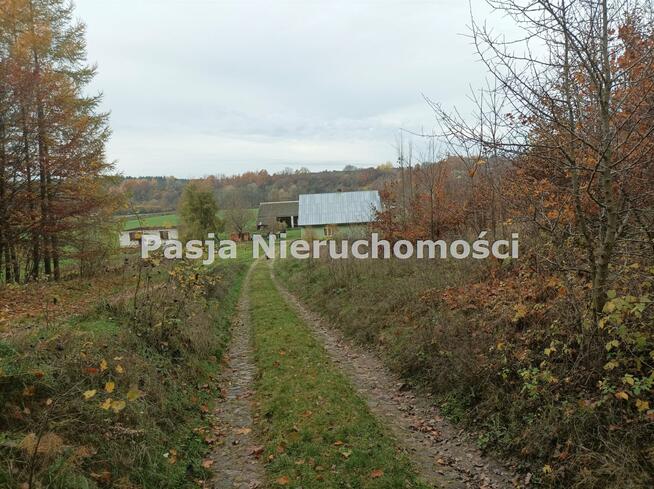 Dom Parzeń gm. Brudzeń Duży
