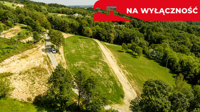 Działka 90 ar z Wz  Olszowa, TANIO !