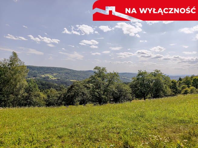 Działka 90 ar z Wz Olszowa, TANIO !