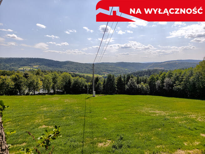 Działka 90 ar z Wz Olszowa, TANIO !