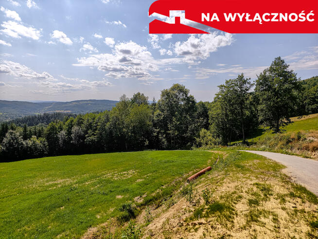 Działka 90 ar z Wz Olszowa, TANIO !