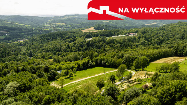 Działka 90 ar z Wz Olszowa, TANIO !