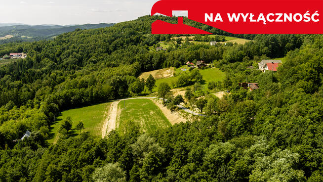 Działka 90 ar z Wz Olszowa, TANIO !