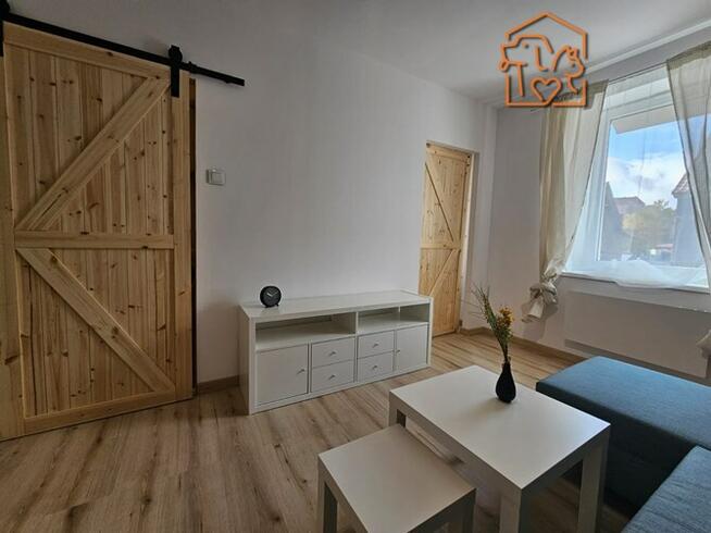 Przytulne 2 pokoje, pet-friendly - 11 Listopada115