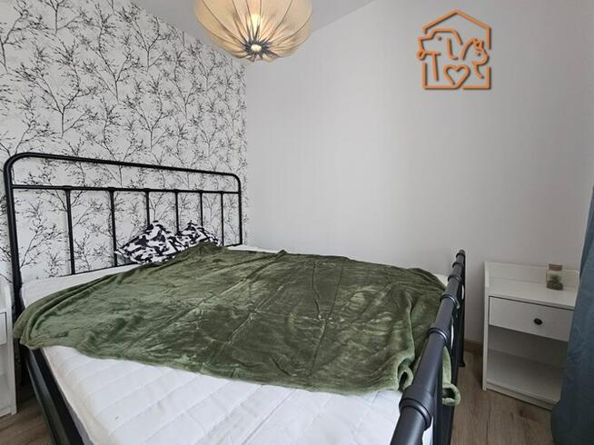 Przytulne 2 pokoje, pet-friendly - 11 Listopada115