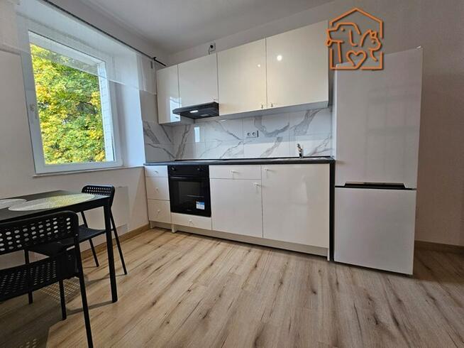 Przytulne 2 pokoje, pet-friendly - 11 Listopada115