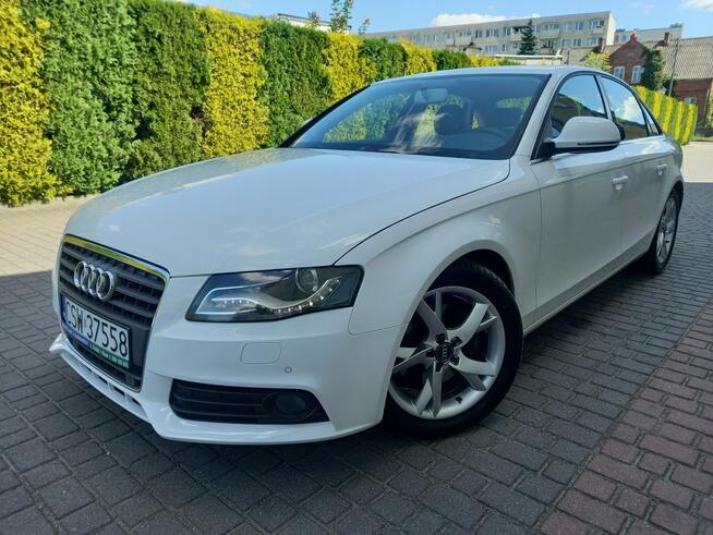 Audi A4 2.0Tdi 140KM Sedan BiXenon Ledy Skóry Navi KeylesGo Full Opcja Zadbany