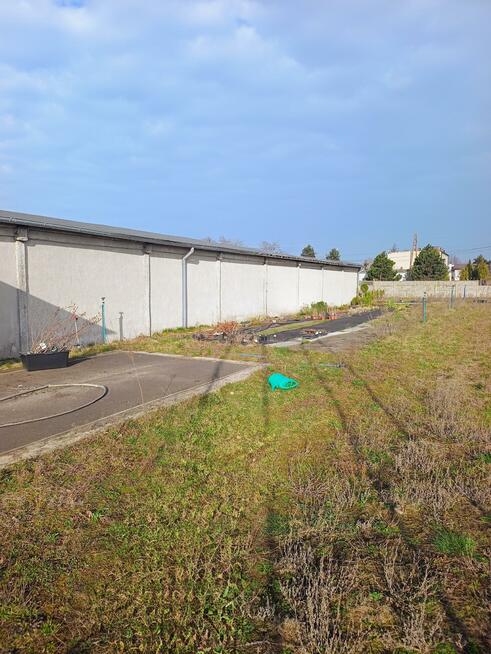 Lokal użytkowy Goszczanów