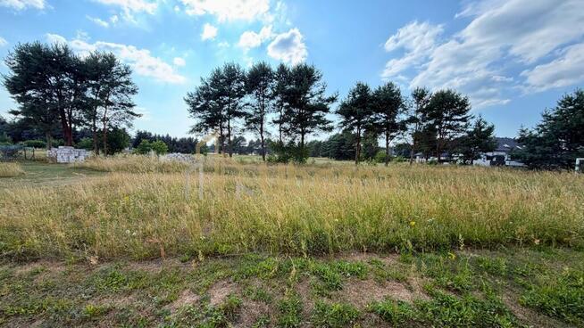Działka 2684 m² w zielonej okolicy - Modrzewie