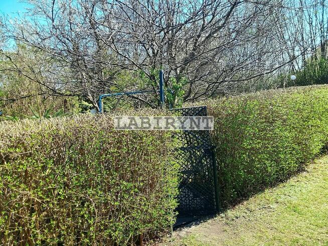 Działka ROD Huculska-300m2, przy zbiorniku Pacyfik