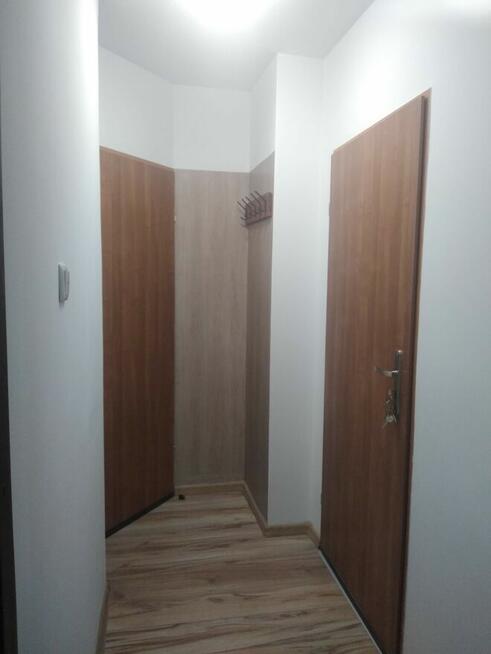 Kawalerka do wynajęcia