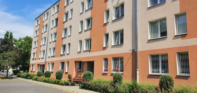 Do wynajęcia 35m 2 pokoje na Ochocie 3400 , bez prowizji.
