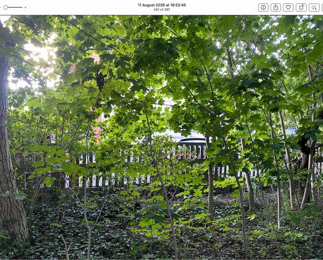 Sprzedamy działkę 1074m2 Plot for sale Zielona Gora centrum