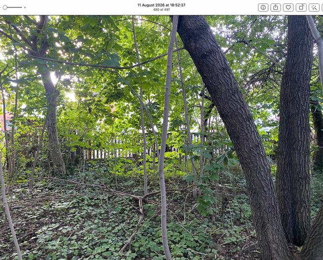 Sprzedamy działkę 1074m2 Plot for sale Zielona Gora centrum