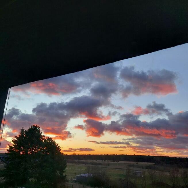 Wynajmę apartament w Jastrzębiej Górze